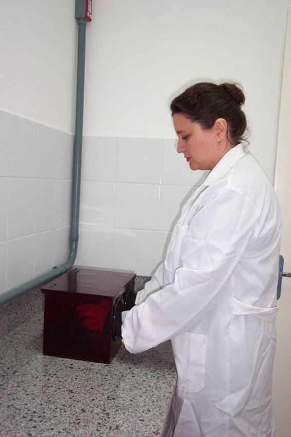 Revelação de filmes tipo odontológicos utilizados no controle de qualidade dos equipamentos do laboratório de Física Médica do IMEF
